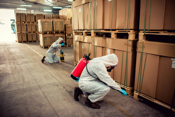 Professional Pest Control in Dauphin Island, AL