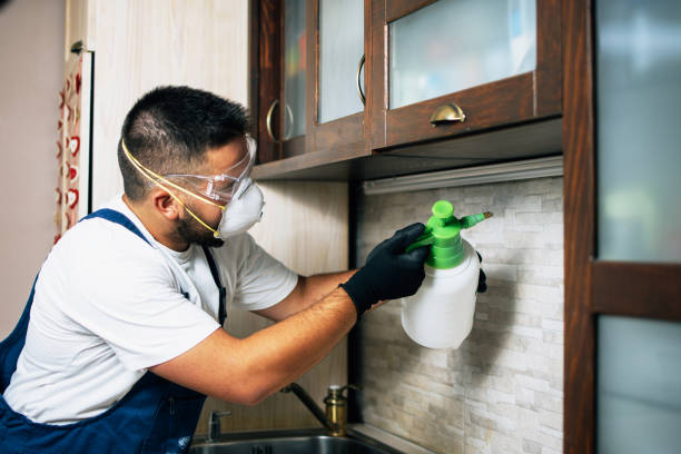 Best Insect Control  in Dauphin Island, AL
