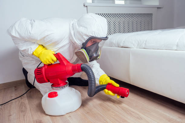 Best Affordable Pest Control Services  in Dauphin Island, AL
