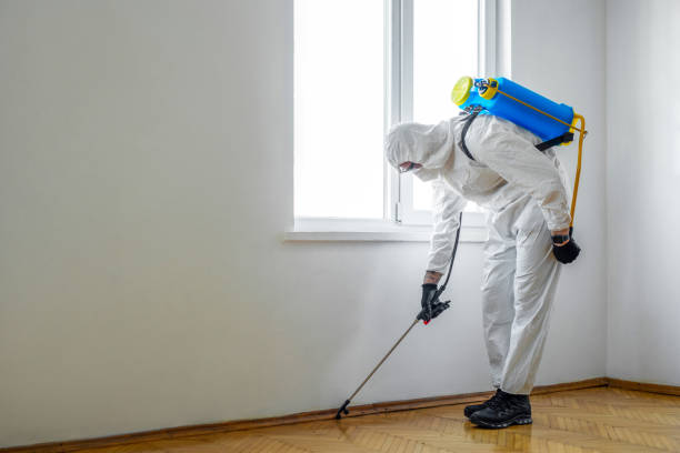 Best Pest Inspection Near Me  in Dauphin Island, AL