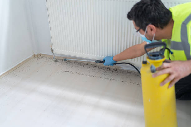 Best Flea Control Services  in Dauphin Island, AL